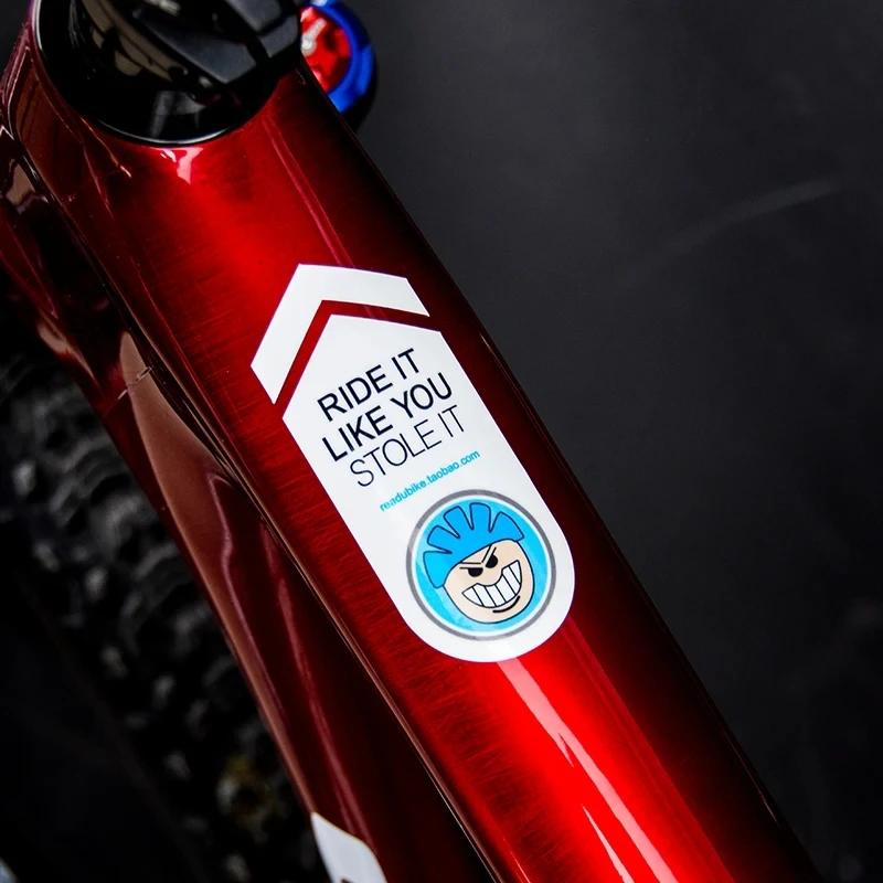 Mountain Biking Pictures - 2pcs Mountain Bike Bicycle Frame Stickers