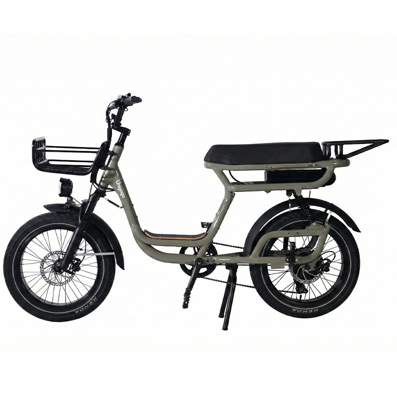N3 20 Inch Electric Mountain B - Mountain Biking App 评论和价格
